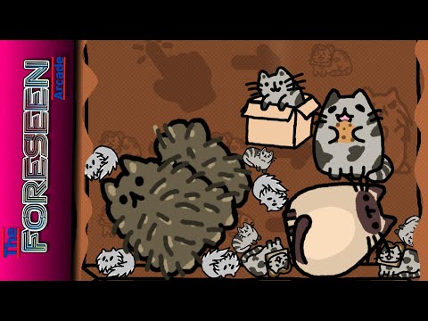 Pushika youtube-video