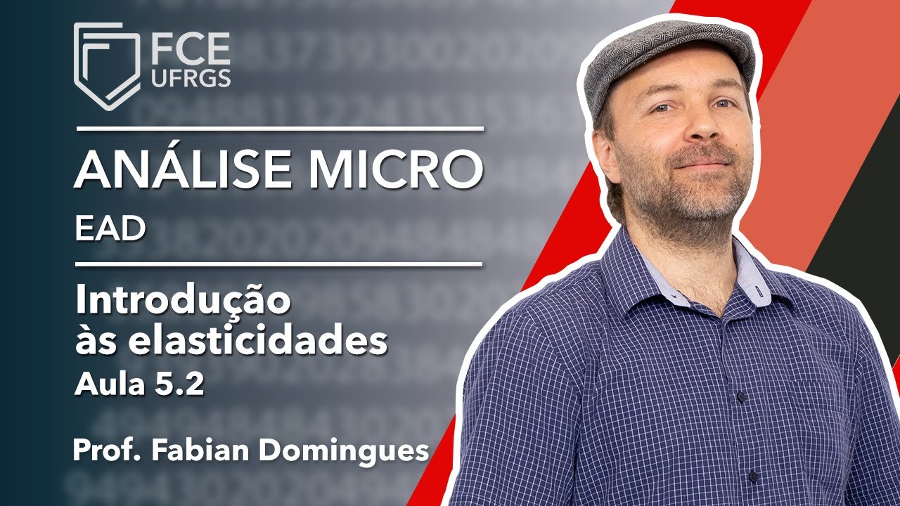 Videoaula 5.2 Introdução às elasticidades