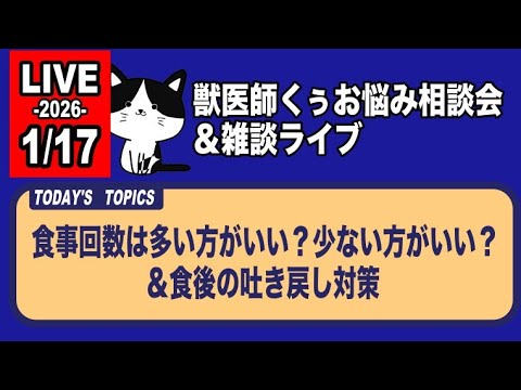 犬猫の食事の質問に答えます【アーカイブは1/18まで】