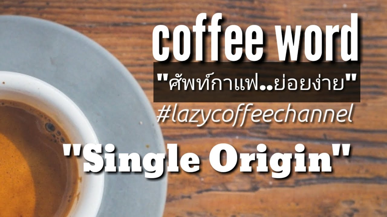 [ศัพท์กาแฟ...ย่อยง่าย] EP.4 Single Origin Coffee /coffee word/lazycoffeechannel