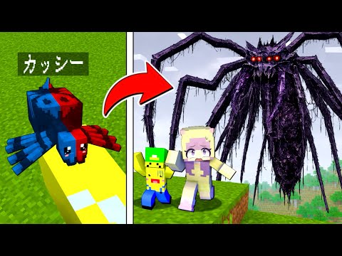 【だんだん大きくなっていく⁉️🕷️】友達に巨大クモに変身ドッキリを仕掛けるマインクラフト😜【マイクラ】ぽっぴんず