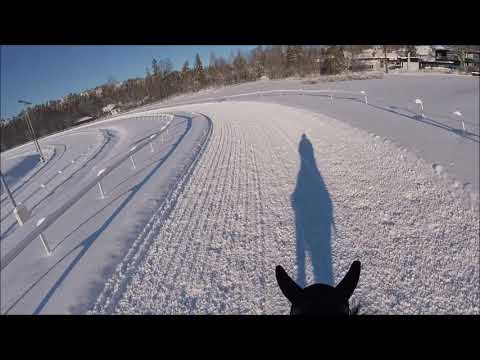 08 02 2019 kantre rundt snøen