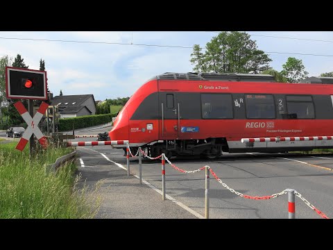 🐸Mega-Konzert der Frösche an KBS820 Coburg-Lichtenfels: RE49 Talent2, RB24  agilis b. Grub am Forst