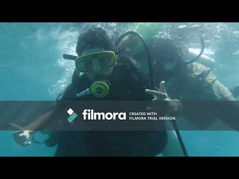 WIJDAN ALI ASDI Scuba Diving in Thailand