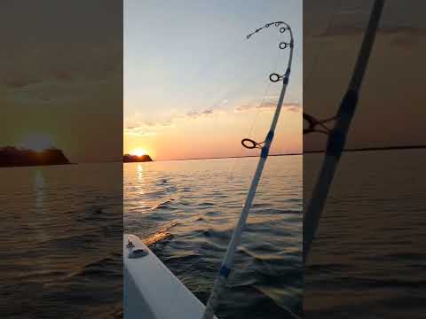 #Seguimos Buscando a los Grandes del Parana en Itaibate Corrientes # Suscribite