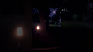 Download lagu 🌘月の光 フジコヘミング Moonlight Fujiko Hemming mp3 Download lagu 🌘月の光 フジコヘミング Moonlight Fujiko Hemming mp3