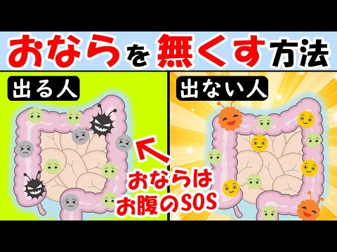 , title : 'おならが臭い・多い人は見て！オナラを無くす方法！おならが止まらない人必見【屁｜腸内環境｜腹｜よく出る｜音】'