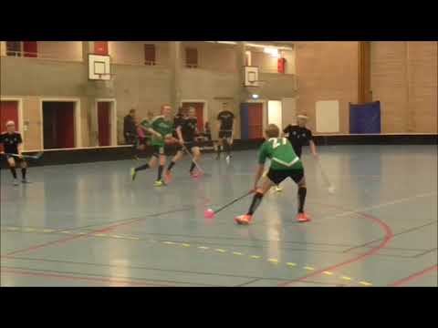 2016- 11- 18.  Skälby - Tillberga Roosters, 2 - 5