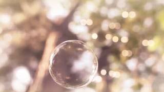 Stadiumx feat Angelika Vee - Wonderland