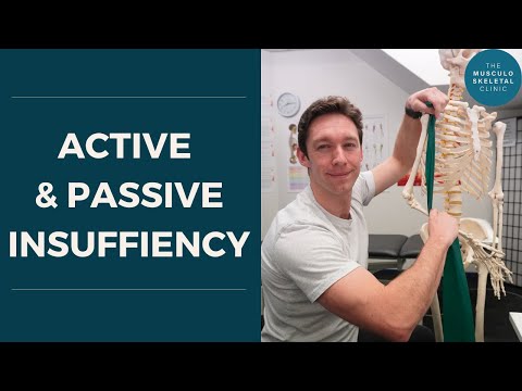 Active and passive insufficiency | The MSK Physio