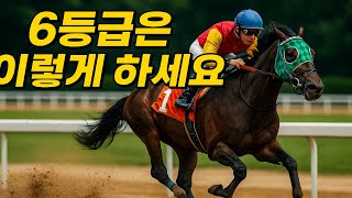 6등급 마필분석은 이렇게 하세요 #경마정보