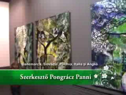 Hírhét 2013 november 27