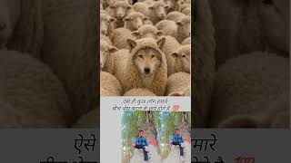 Download lagu Kya miliye aise logon se. sad song. by Mohammad rafi. mp3 Download lagu Kya miliye aise logon se. sad song. by Mohammad rafi. mp3