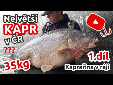 CHYTILI JSME NEJVĚTŠÍHO KAPRA v ČR??!! | Kaprařina v ráji 1. díl