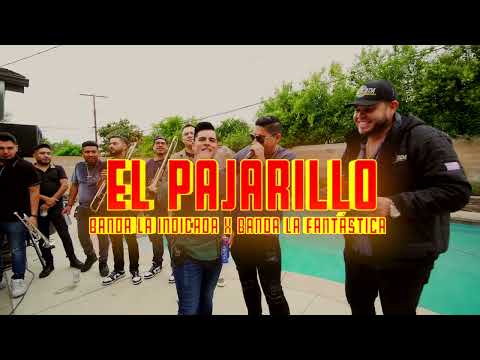 EL PAJARRILLO - Banda La Fantastica X La Indicada Colaboracion (En Vivo) Desde Los Angeles Ca