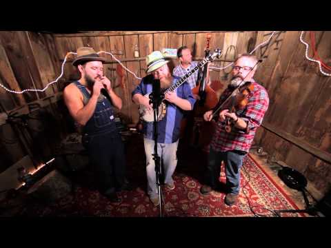 The Bearded - House Sparrow (Live from a Barn in Knoxville)