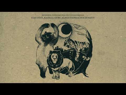 Alpha Steppa & Cian Finn - Ireland Remix