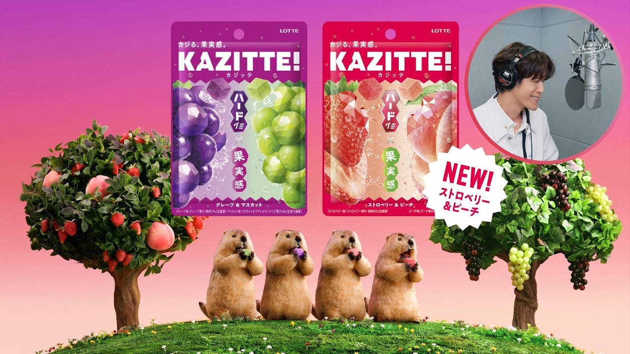 ロッテ カジッテ WEB動画 「正解発表」篇