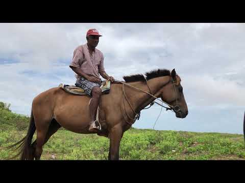 Listening to a man in Guyana.