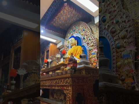 Namgyal Monastery, Dharamshala | Dalai Lama’s Personal Monastery #mcleodganj #dharamshala