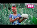 Guchi Ft Rayvanny Jennifer Remix Parody By Dogo Charlie And Lynn Petra