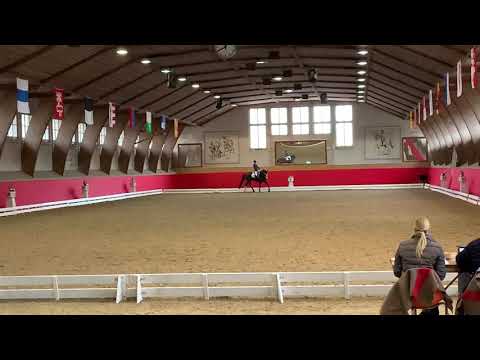 Luana Niklaus und Caribo le Beau L12/60 CD NPZ Bern