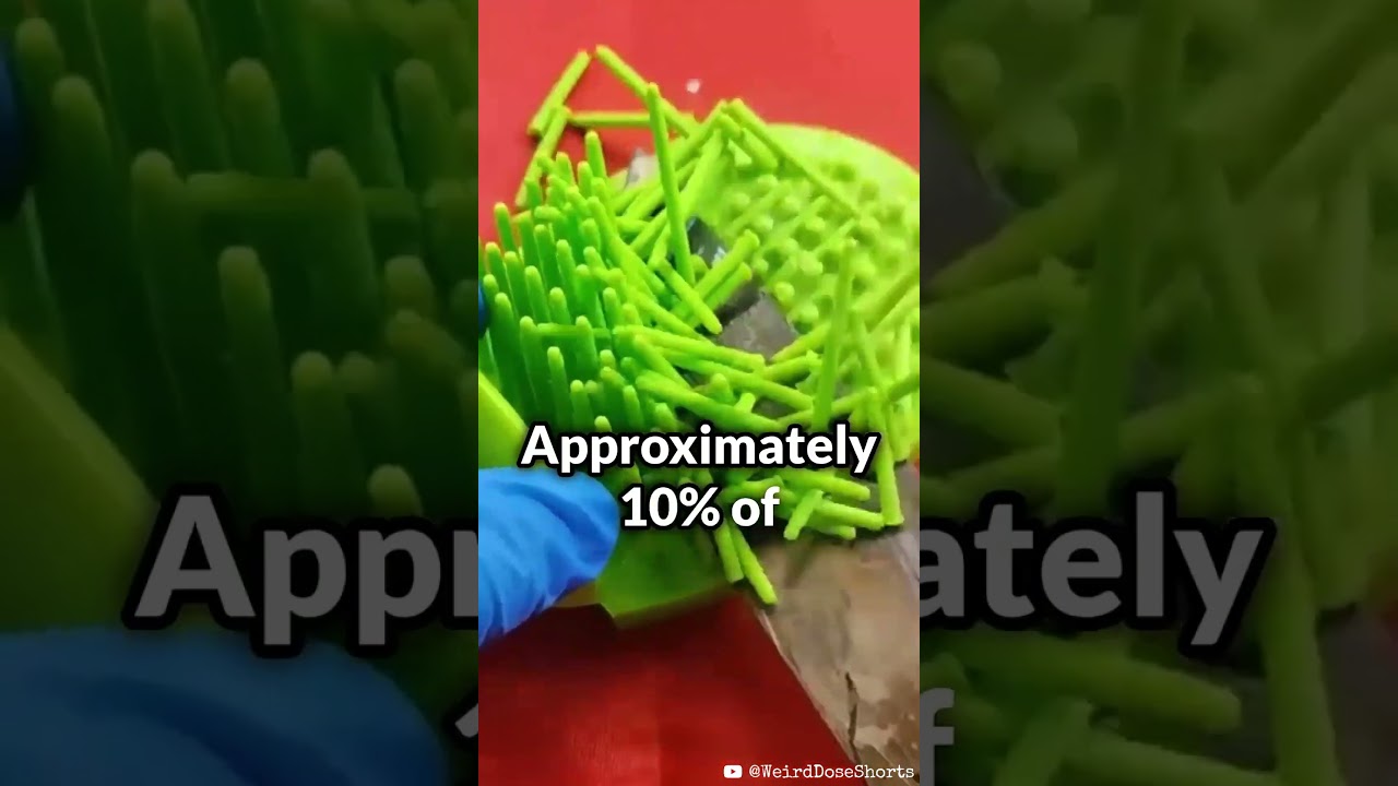 Random Facts You Didn't Know Part 2 #shorts