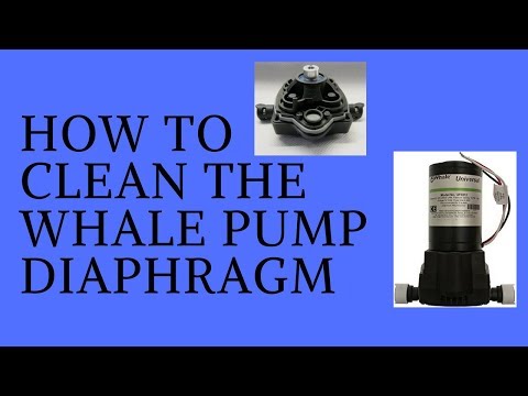 Whale Water pump Maintenance