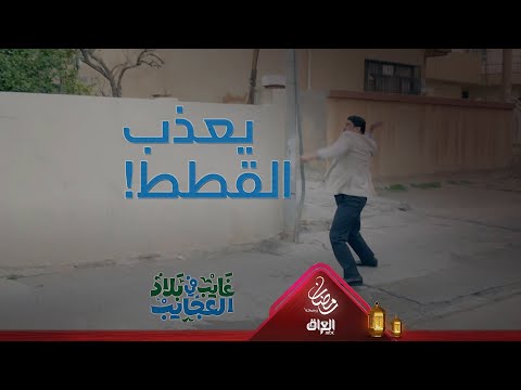 غايب يضرب بزازين همينه هاي شصار بيه