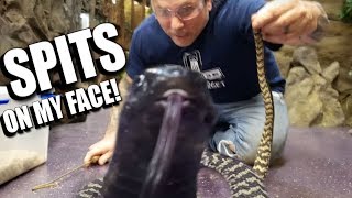DEADLY COBRA SPITS VENOM in my FACE!!! | BRIAN BARCZYK