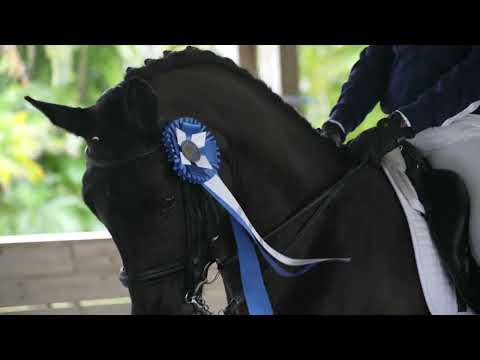 Dr Cesar Parra Dressage