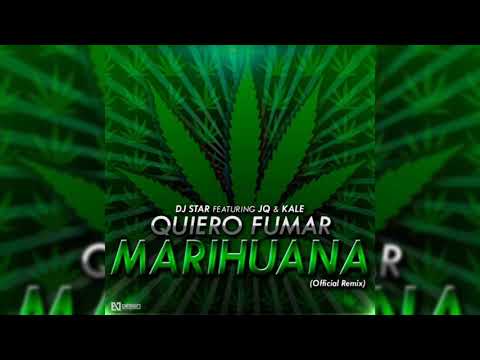 JQ Ft. Polakan, Pacho y Cirilo, Gastam, Klaze y Eztylo y Más - Quiero Fumar Remix