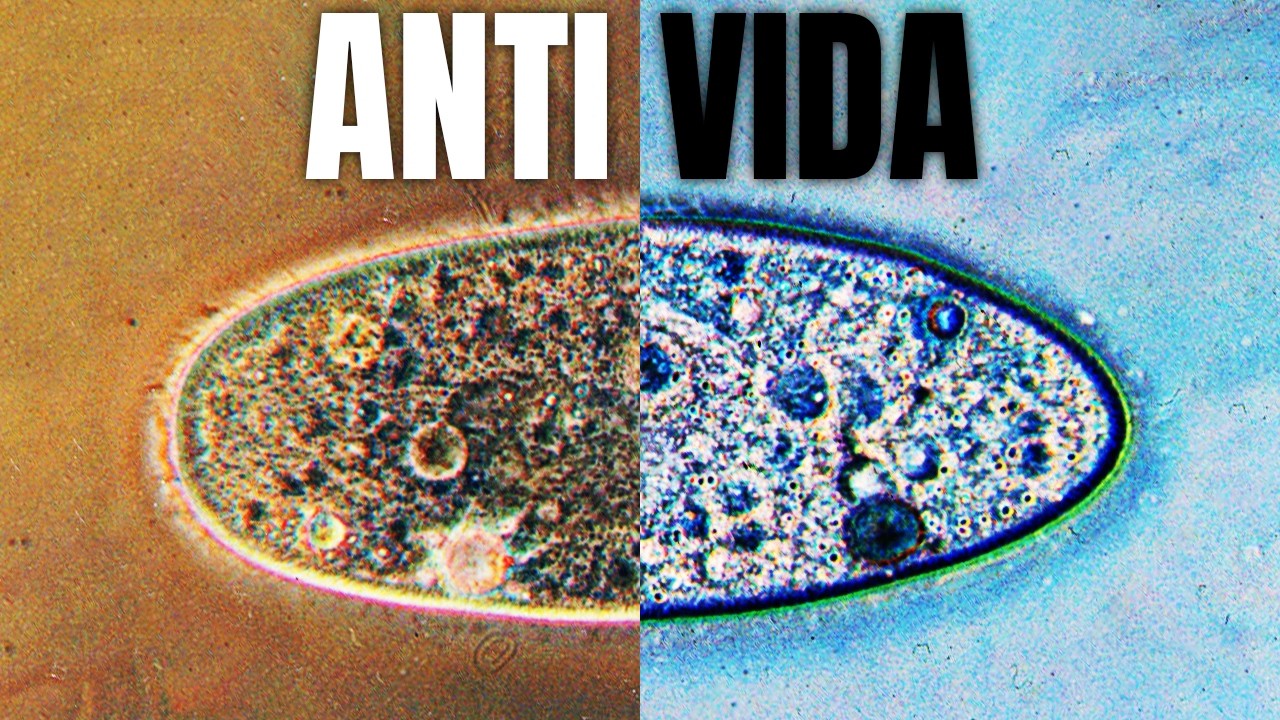La amenaza de la ANTIVIDA