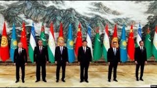 Jonli yoyin: Tramp ularni nega chaqirdi?