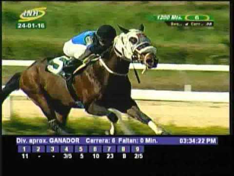 Resumen Domingo, 24 de Enero de 2016 - La Rinconada