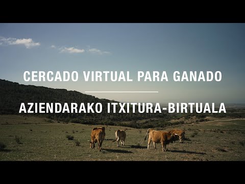 Sistema de cercado virtual para ganado explicado por el pastor Pedro Berrade de Ujué / Uxue