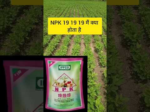 😱😱 NPK 19 19 19 का प्रयोग सोयाबीन मैं करे या ना करे #n#p#k#ka#ka#prayog# fasal#mein#jab# kre#