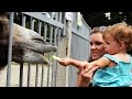 120-летний юбилей Харьковского зоопарка 