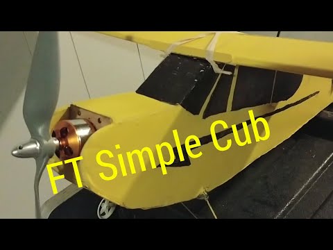 Why did I choose the FT Simple Cub? ...build thoughts and experiences (good and bad)