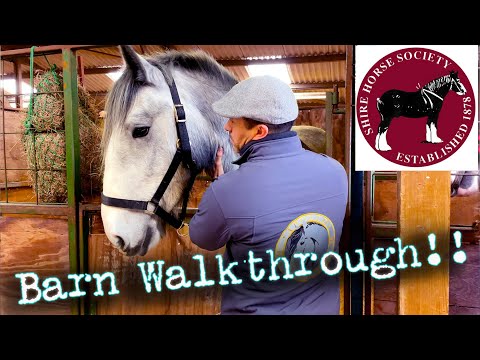 BARN TOUR! National Shire Horse Show in ENGLAND! (Episode 5) Apollo The Shire