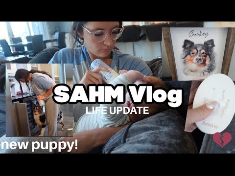 STAY AT HOME MOM OF 3 VLOG | LIFE UPDATE | NEW PUPPY | Felicia Keathley