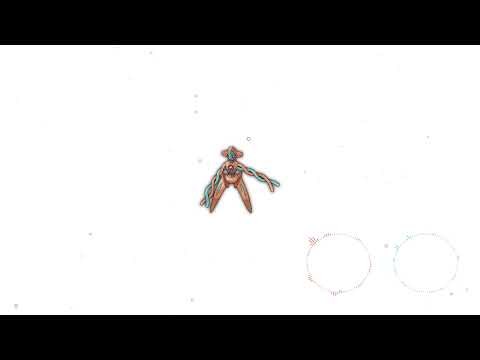 Fallarbor Town | Pokémon | Remake