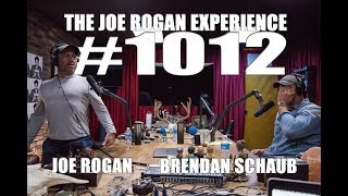 Joe Rogan Experience #1012 - Brendan Schaub