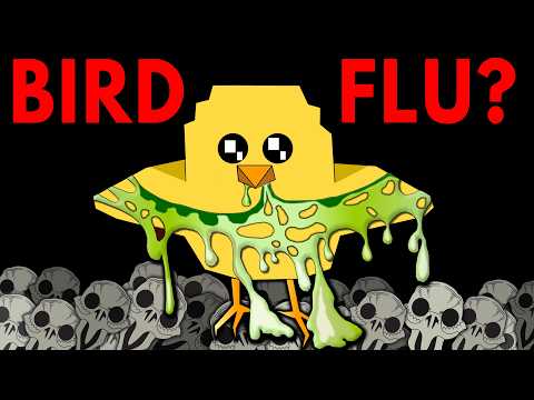 Should You Be Worried About Bird Flu? 🐔