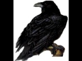 The Raven Christopher Walken - Edgar Allan Poe ...