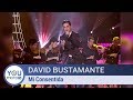 David Bustamante  - Mi Consentida