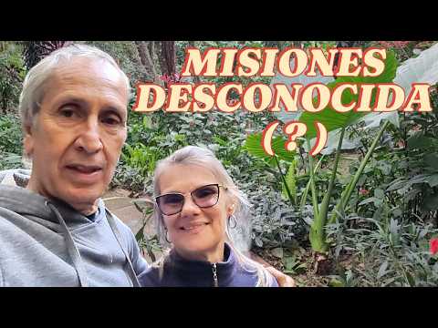 Porqué tenés que visitar OBERÁ! : 6 motivos !!!