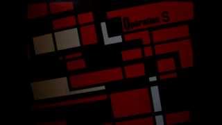 Operation S 978, delinquante