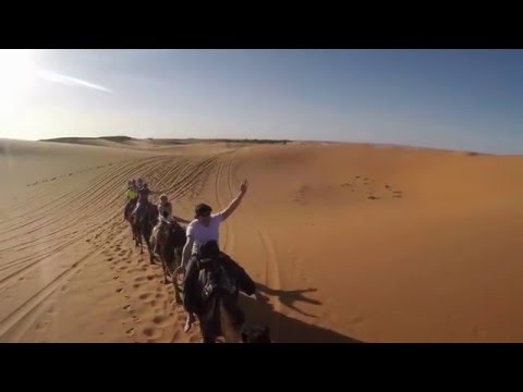 Camel Ride in Morocco