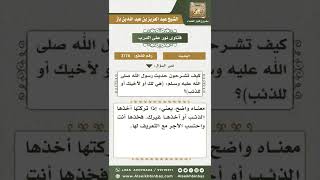 صورة 3178 - معنى قوله عليه الصلاة والسلام (هي لك أو لأخيك أو للذئب) - نور على الدرب